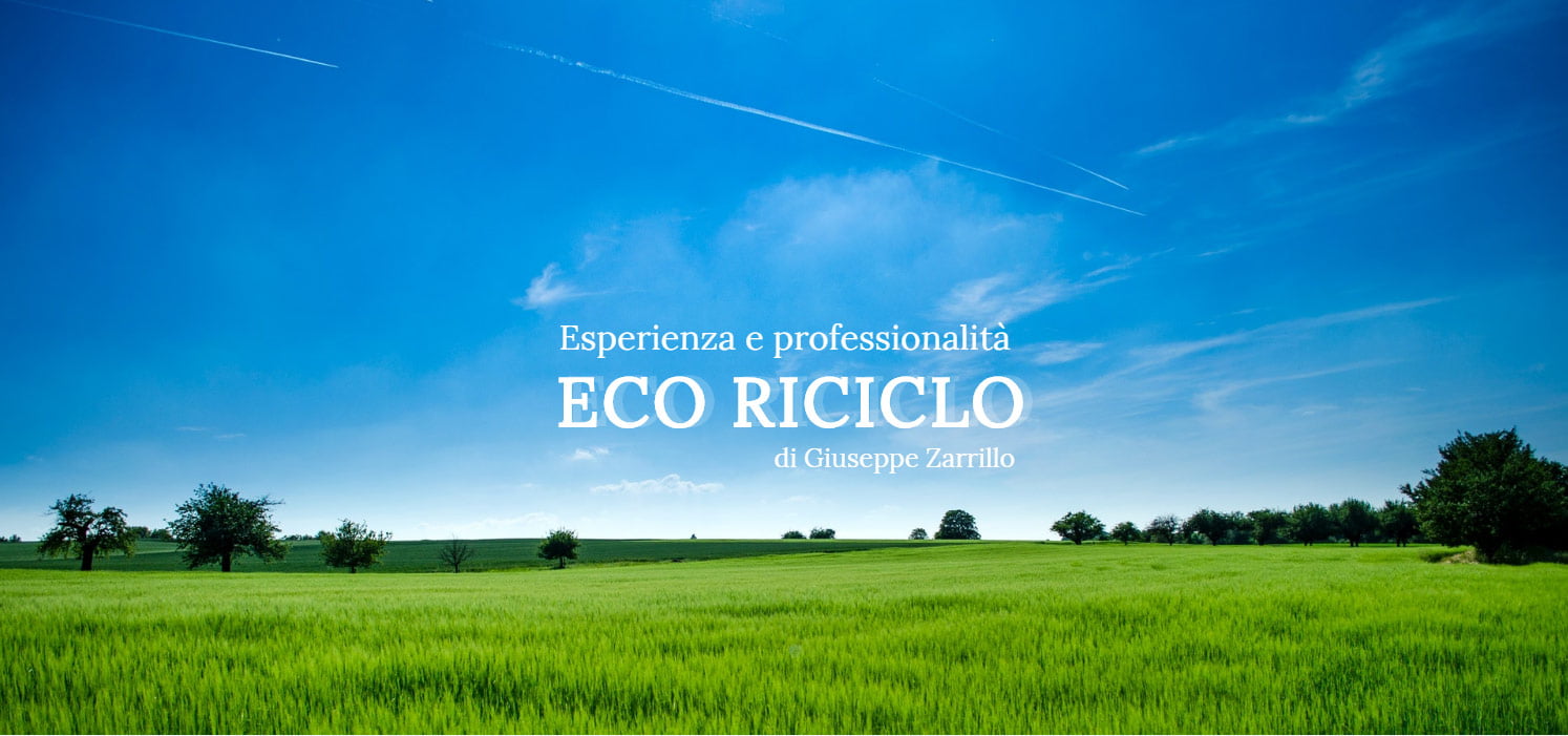 Logo Servizi di Disinfestazione Eco Riciclo Srl Potenza